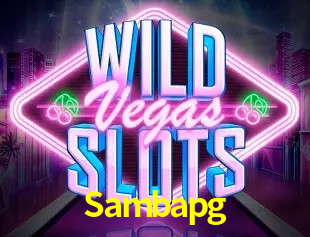 Sistemas de Segurança Sambapg